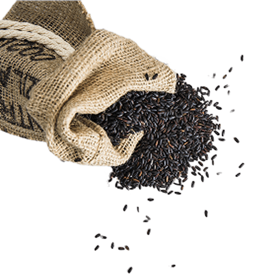 Black rice